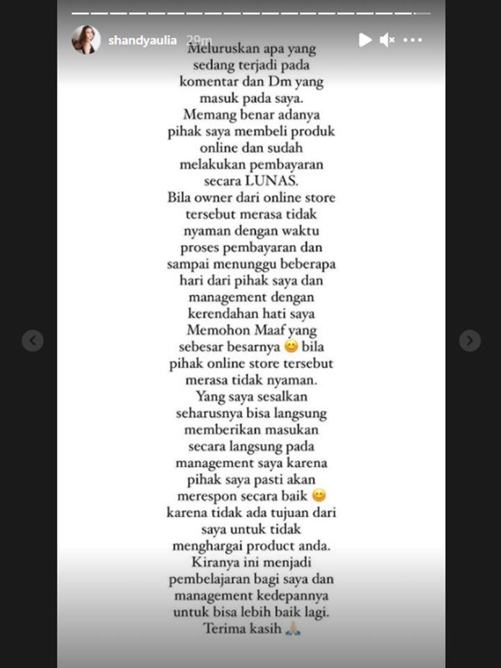 Shandy Aulia Akhirnya Buka Suara Soal Minta Endorse Gratis, Sampaikan Permintaan Maaf