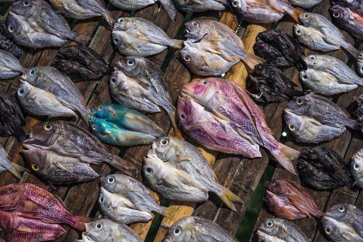 Ikan Asin yang Tahan Lebih dari Satu Bulan