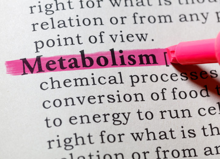 Meningkatkan Metabolisme Tubuh