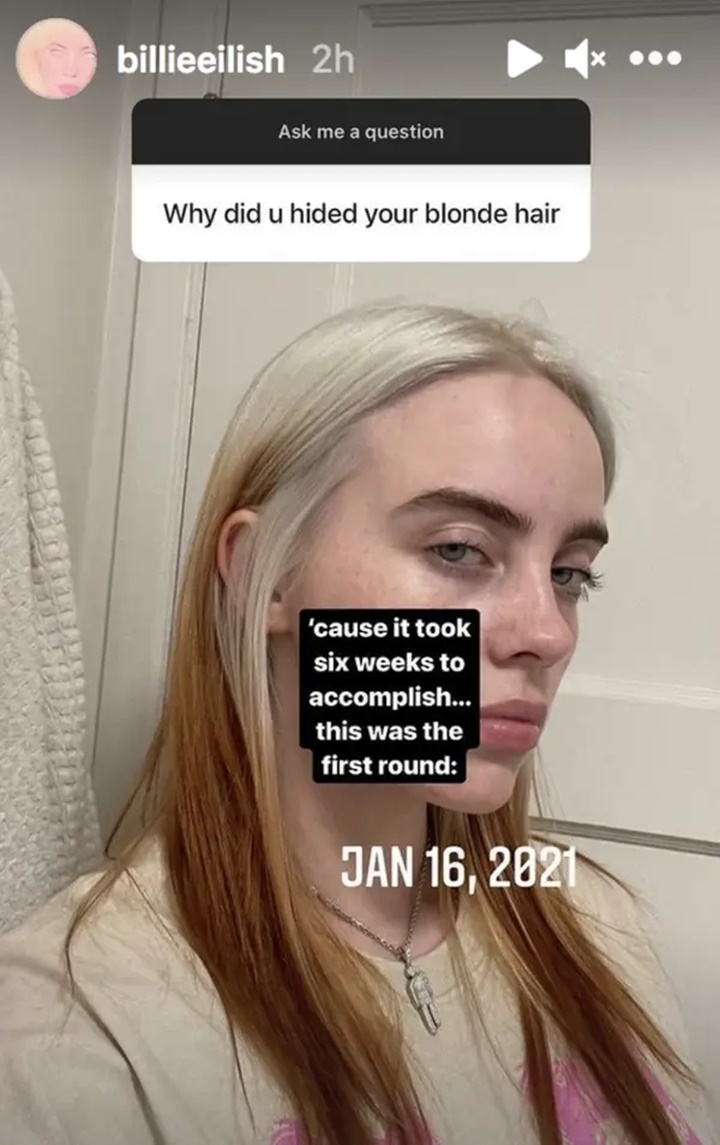Terungkap Alasan Billie Eilish Sembunyikan Rambut Blondenya Menggunakan Wig