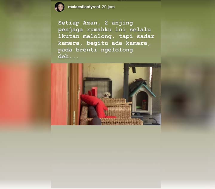 Maia Estianty Beber Cerita Soal Sikap Ganjil 2 Anjing Penjaga Rumahnya Saat Dengar Azan