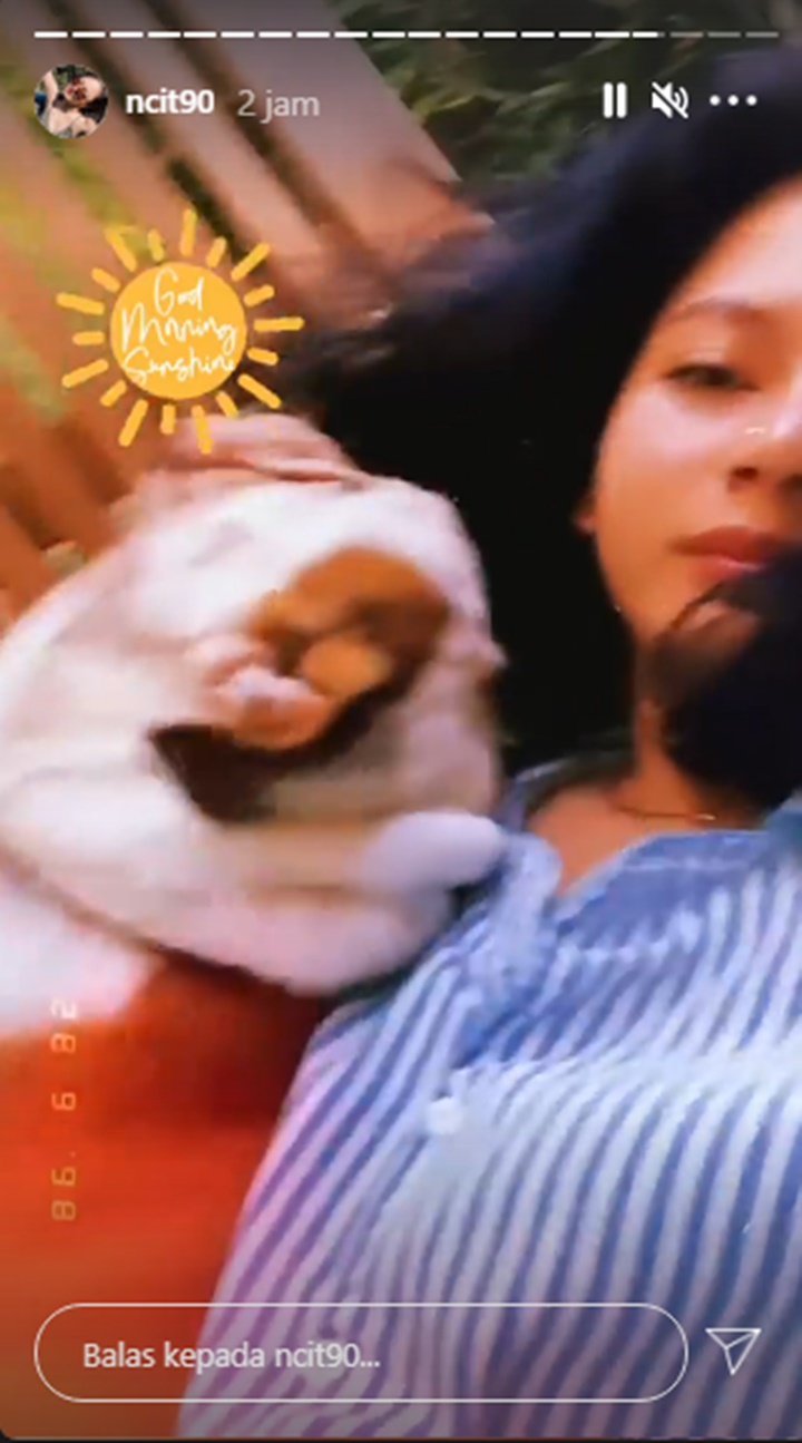 InstaStory