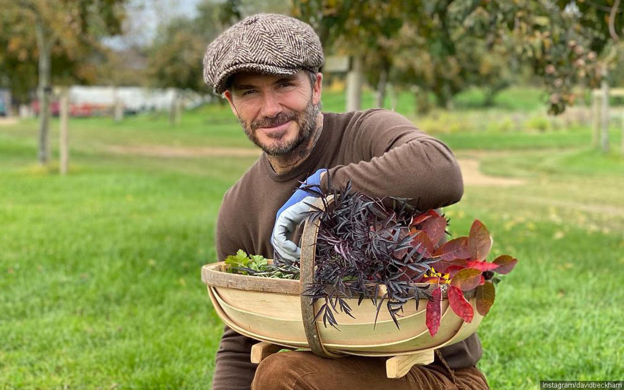 David Beckham Gandeng Disney+ Bakal Bintangi Serial Sepak Bola
