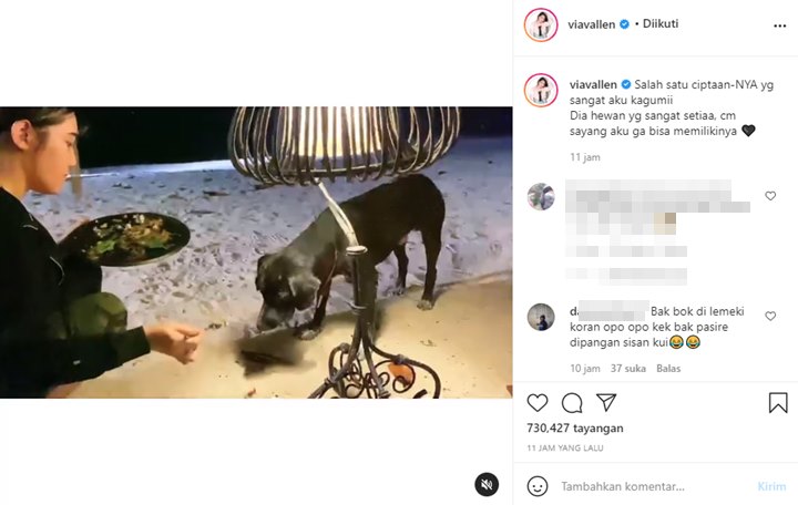 Ngaku Kagum, Cara Via Vallen Beri Makan Anjing Disorot