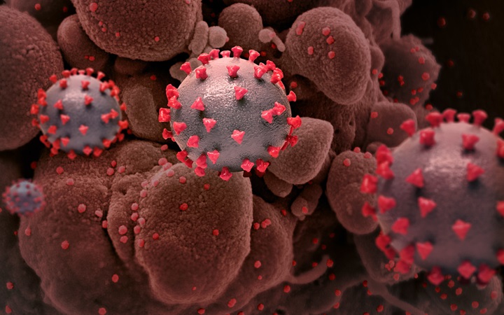 In Depth: \'Tsunami\' COVID-19 India Dipicu Triple Mutation Virus Corona, Ini Penjelasannya-1