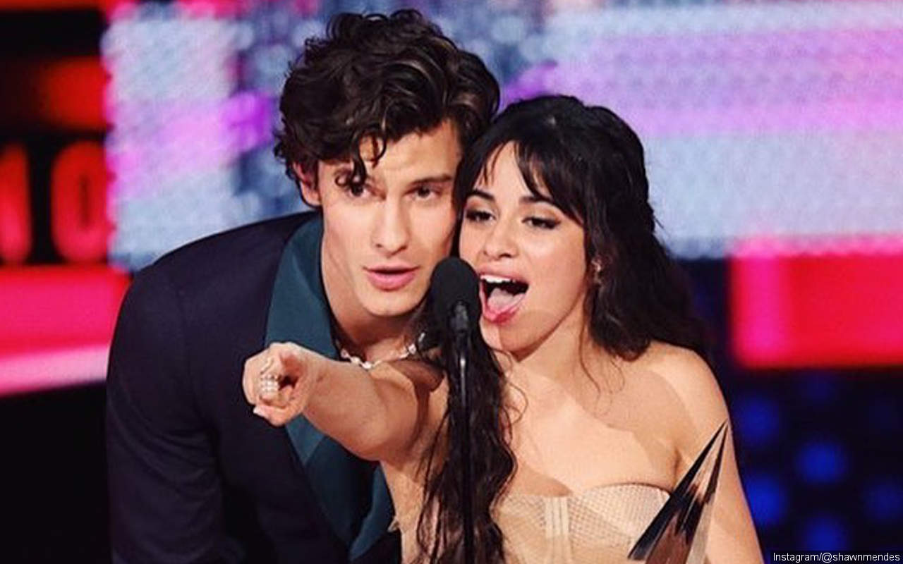 Jalan Bareng Shawn Mendes, Camila Cabello Disebut Tengah Hamil Karena Hal Ini