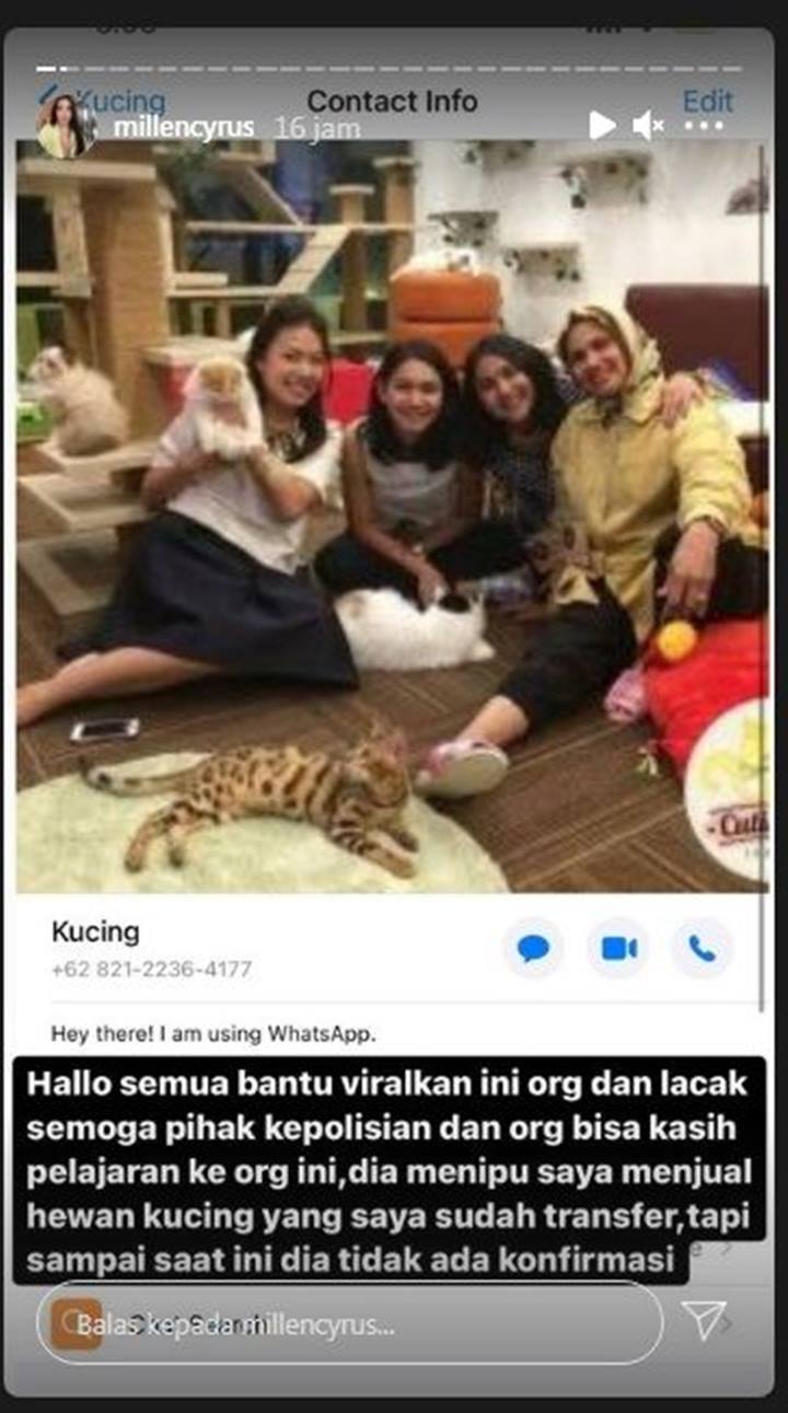 Millen Cyrus Geram Niat Adopsi Kucing Malah Kena Tipu, Bakal Tempuh Jalur Hukum