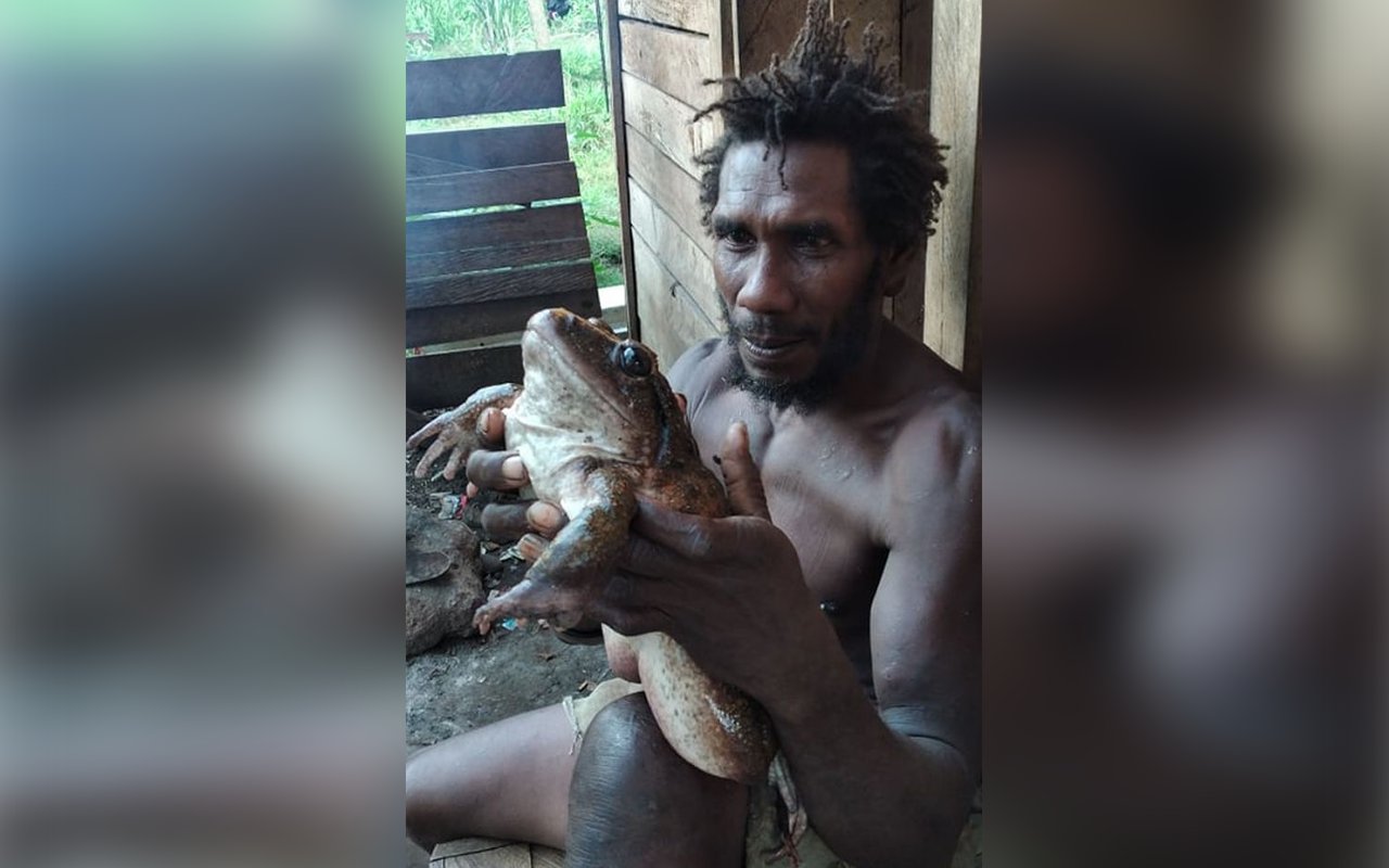 Niat Berburu Babi Hutan, Pria Ini Kaget Temukan Katak Sebesar Bayi Manusia