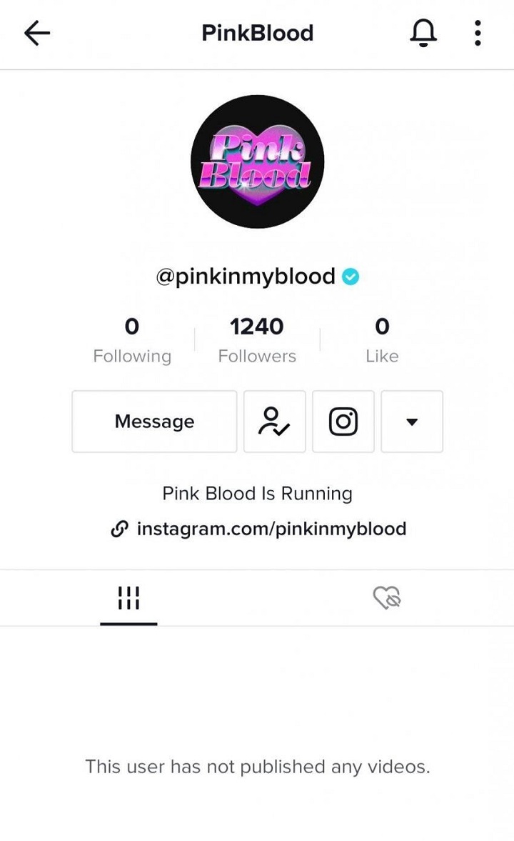 SM Entertainment Siapkan Logo dan Daftarkan Hak Paten PinkBlood, Nama Girl Grup Baru?