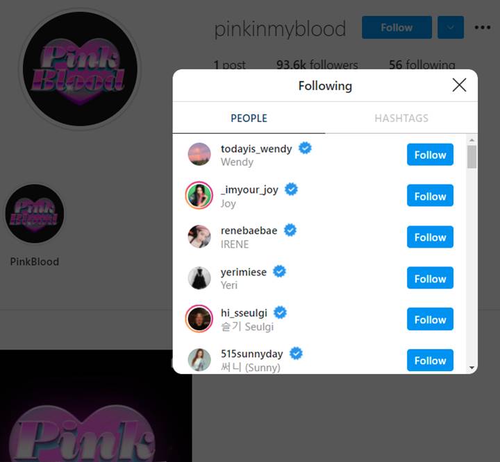 Akun Instagram PinkBlood mengikuti semua akun Instagram grup dan pribadi idol SM Entertainment