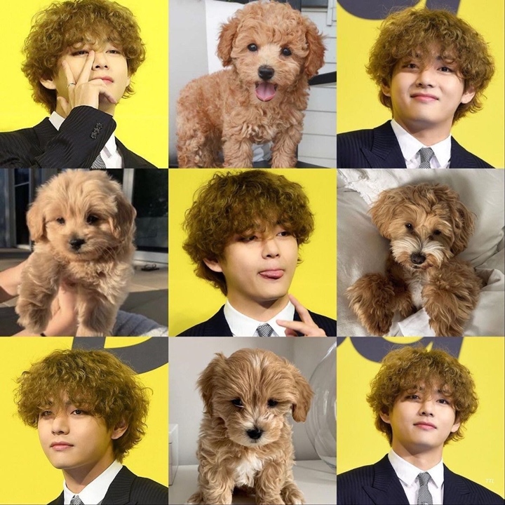 Rambut Kriwil V Tuai Pro Kontra, Begini Reaksi Member-Member BTS 1