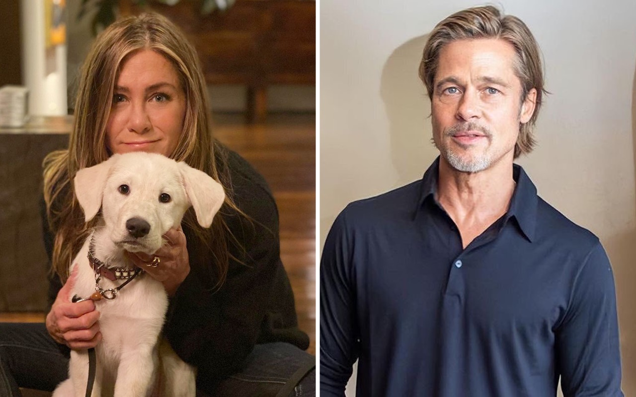 Mantan Suami Istri, Jennifer Aniston Beri Sederet Pujian Untuk Brad Pitt