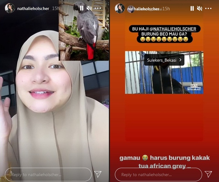 Usai Mobil Mewah Rp 7 Miliar, Nathalie Holscher Kini Ngidam Ingin Beli Hewan Ini