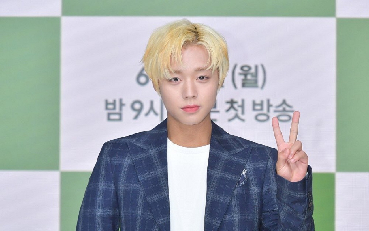 Park Jihoon Akui Punya Kemiripan Ini dengan Karakternya di 'At a Distance, Spring is Green'