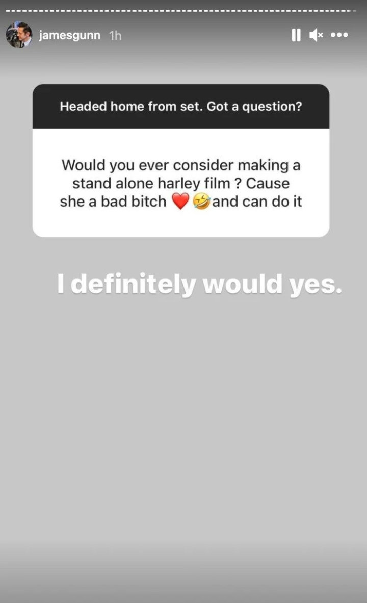 James Gunn Ungkap Keinginannya Buat Film Solo Khusus Untuk Harley Quinn