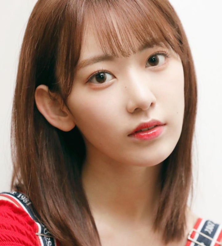 Foto Sakura Versi <i>Close Up</i> yang Menawan
