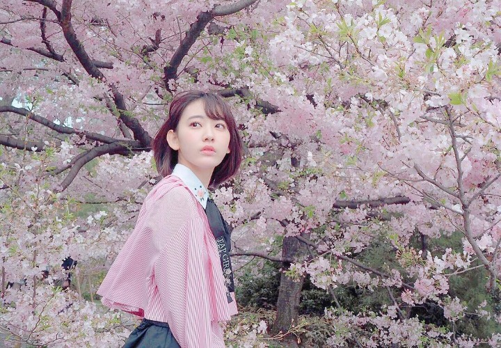 Sakura Diantara Bunga yang Indah