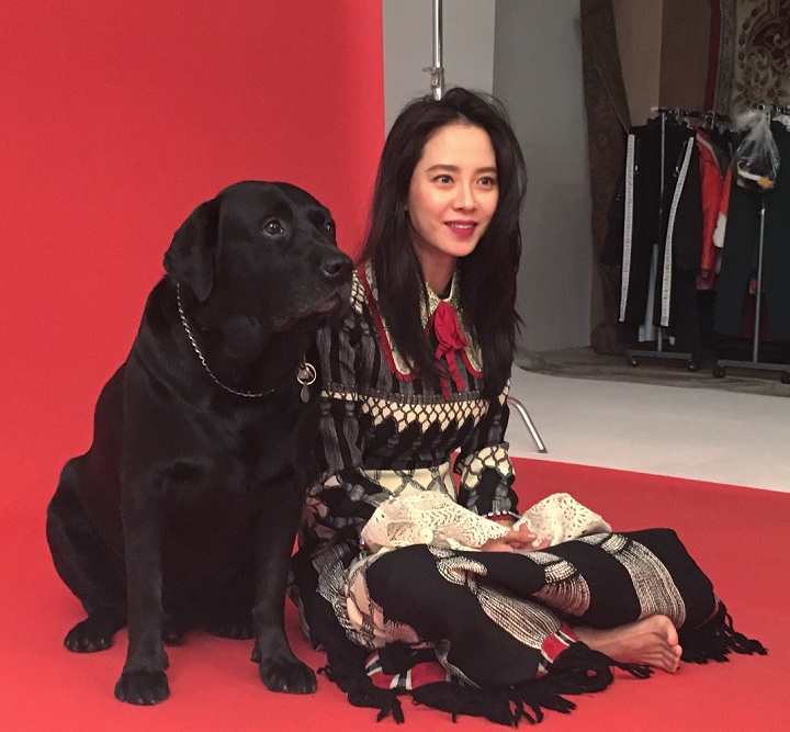 Hewan menyukai song ji hyo
