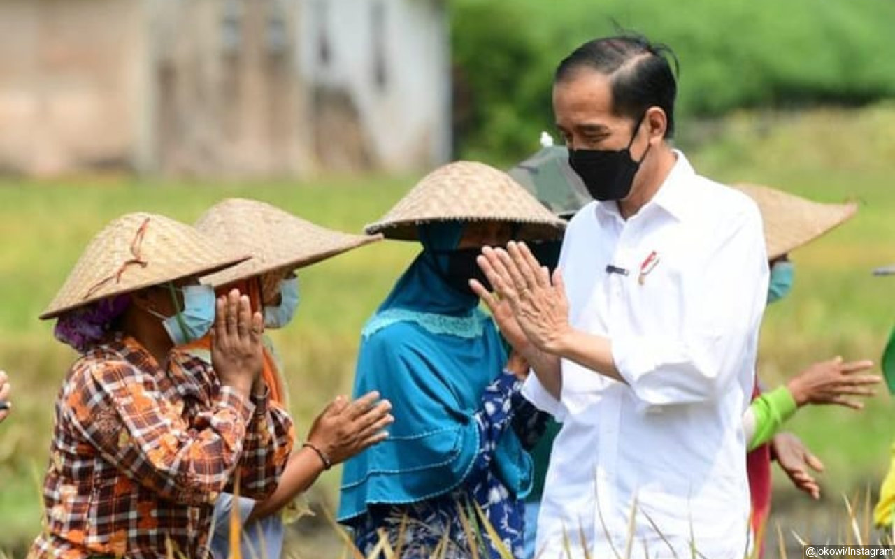 Berikut 3 Jenis Paket Obat Gratis yang Dibagikan Jokowi Untuk Pasien COVID-19 Isoman