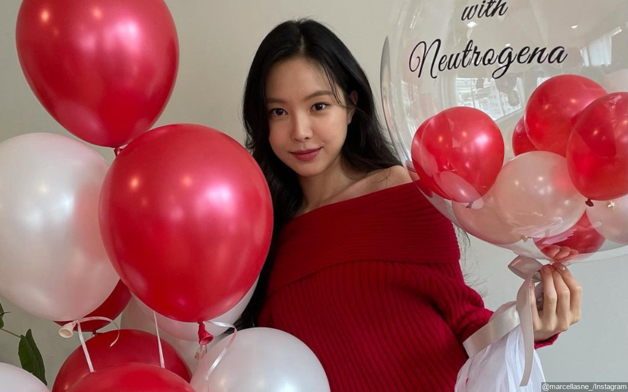 Na Eun Tak Dianggap Member A Pink, Resmi Tinggalkan Grup?