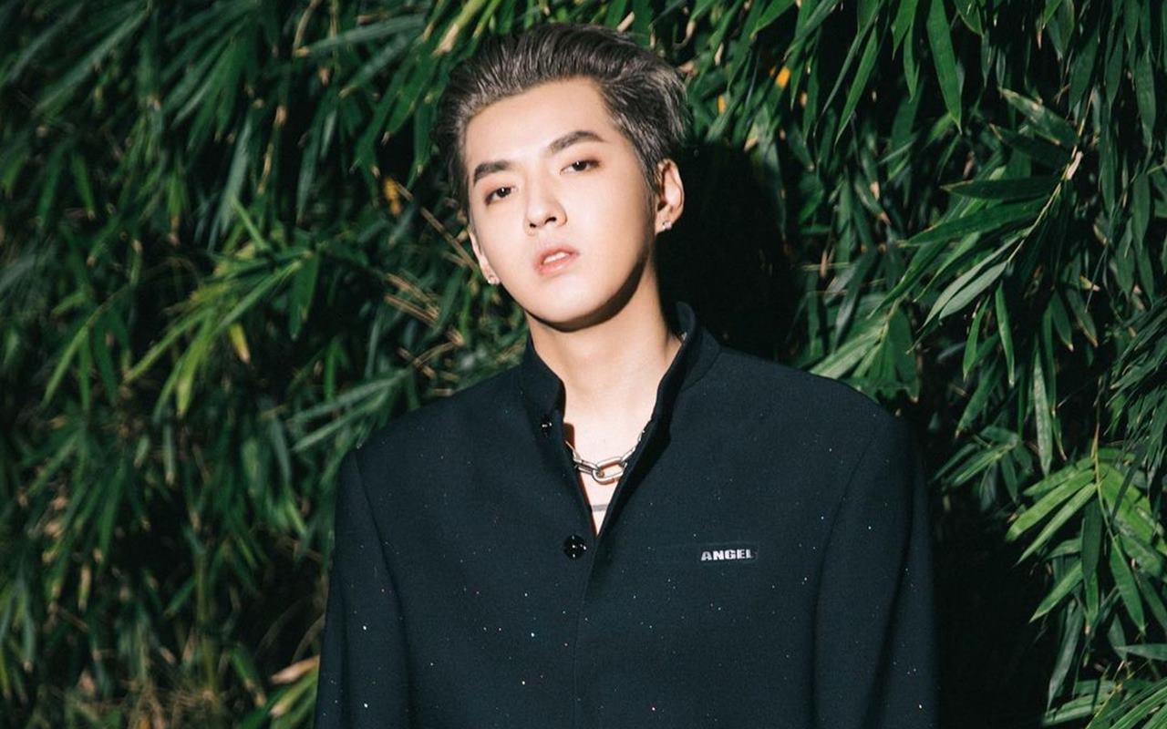 Buntut Skandal Pelecehan, Kris Wu Dicopot Jadi BA Brand Mewah Louis Vuitton Hingga Porsche