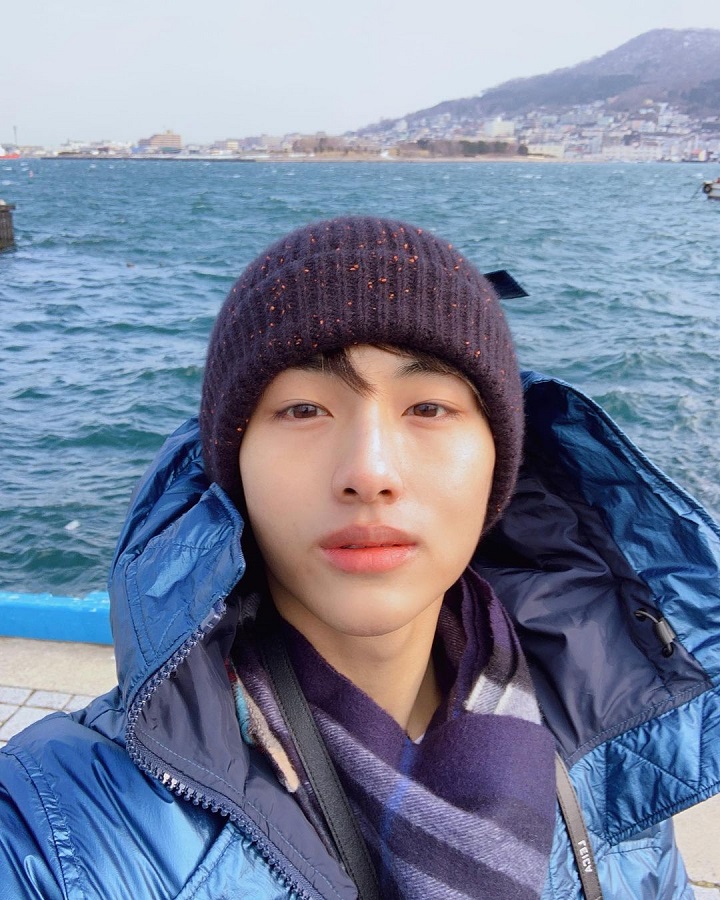 Hobi <i>Selfie</i>