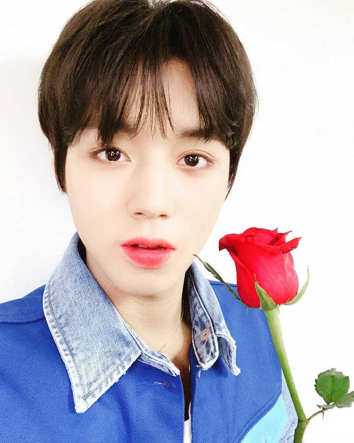 Park Jihoon Dan Setangkai Bunga