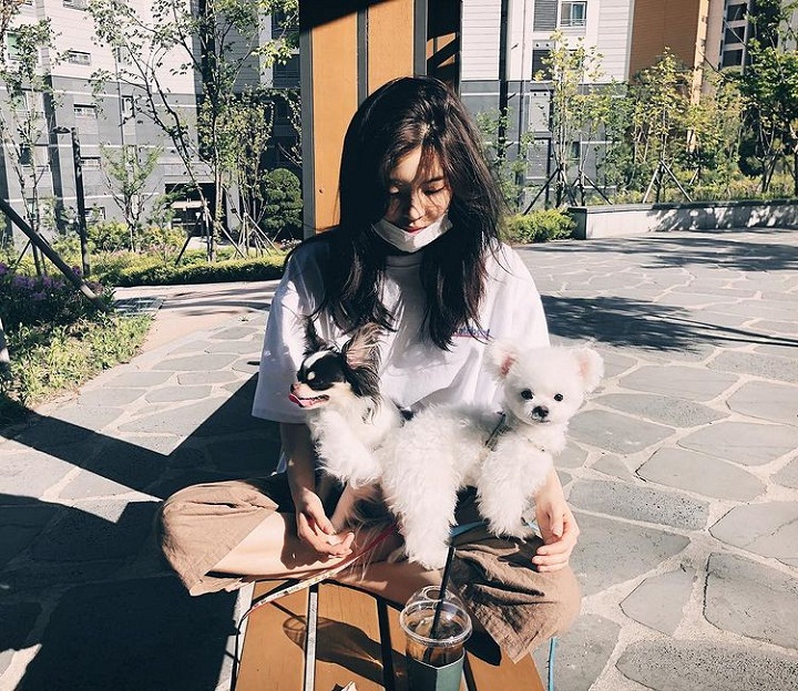 Penyayang Hewan, terutama anjing