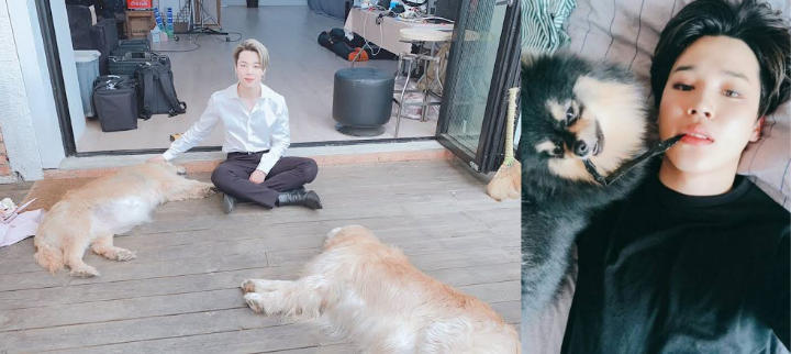 Banyak Fans Tak Tahu, Jimin BTS Ternyata Punya Alergi Pada Ini
