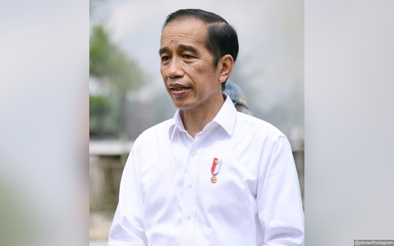 Polisi Kejar Pembuat Mural 'Jokowi 404: Not Found' Bikin Warganet Heran