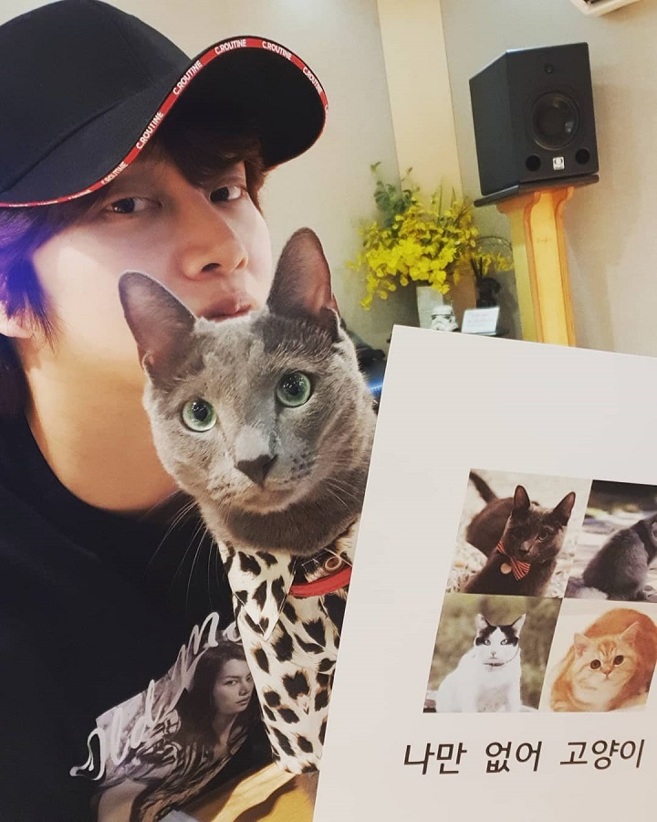 Gemas Bersama Kucing