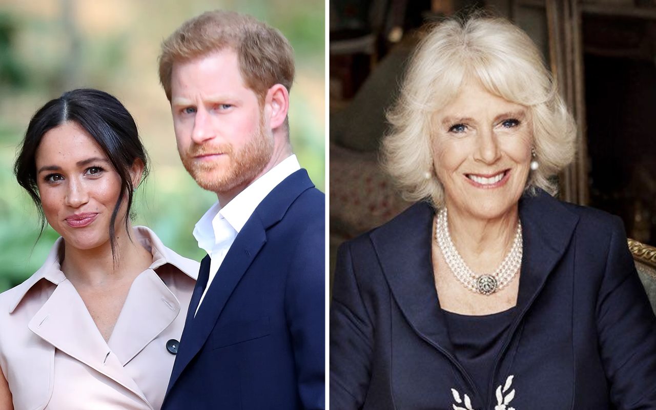 Kepindahan Harry dan Meghan Markle ke Amerika Disebut Menyakiti Hati Camilla, Kenapa?