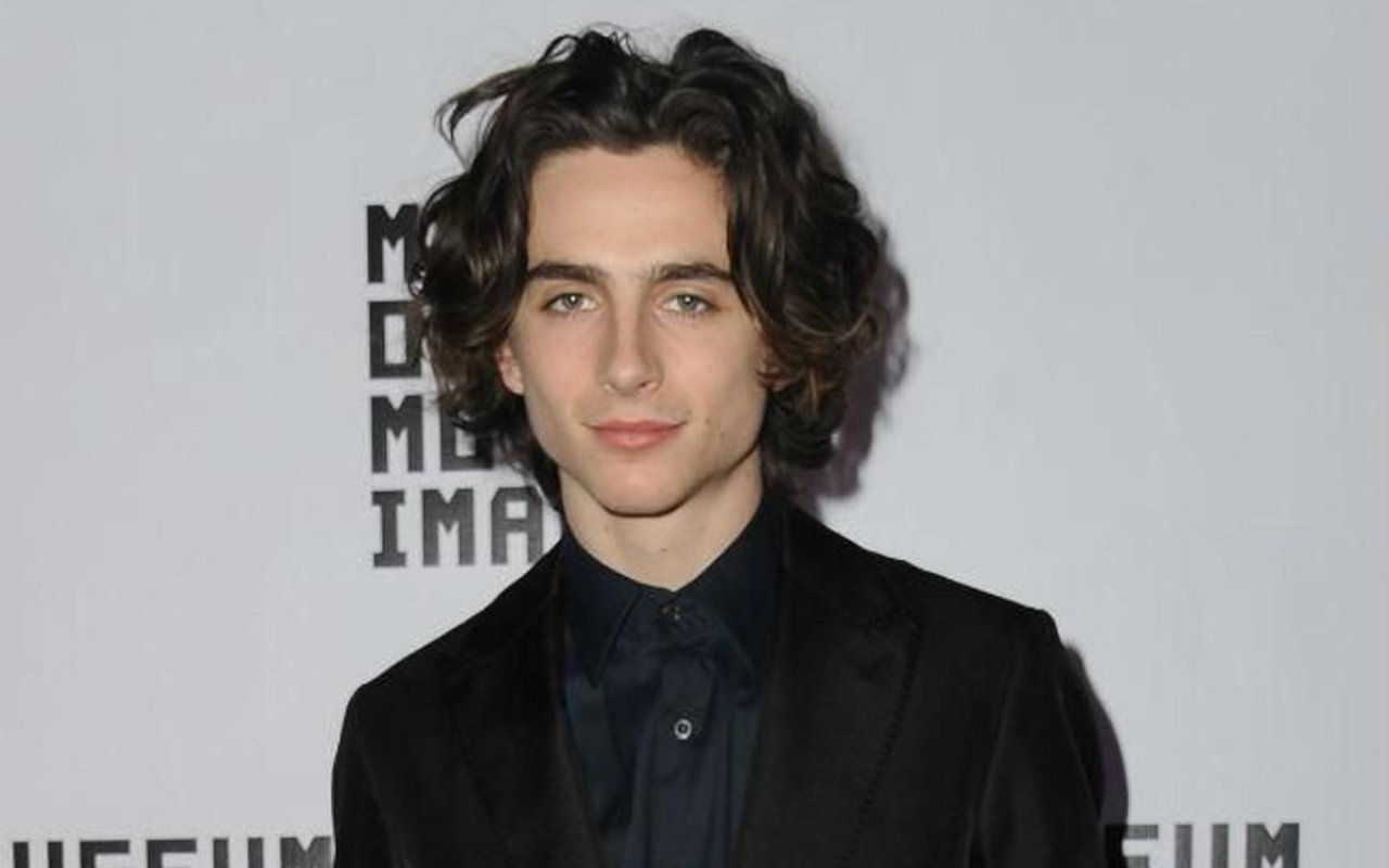 Cari Petunjuk, Timothee Chalamet Sampai Rela Analisa Satu-Satu Trailer 'Spider-Man: No Way Home'