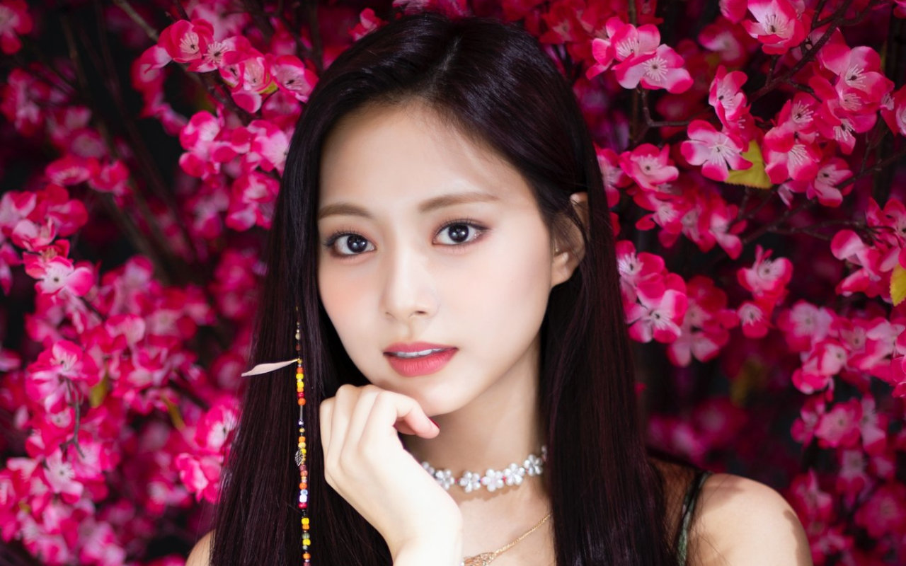 Pemerintah Minta Fanbase Tzuyu TWICE di Tiongkok Ubah Nama, Kenapa?