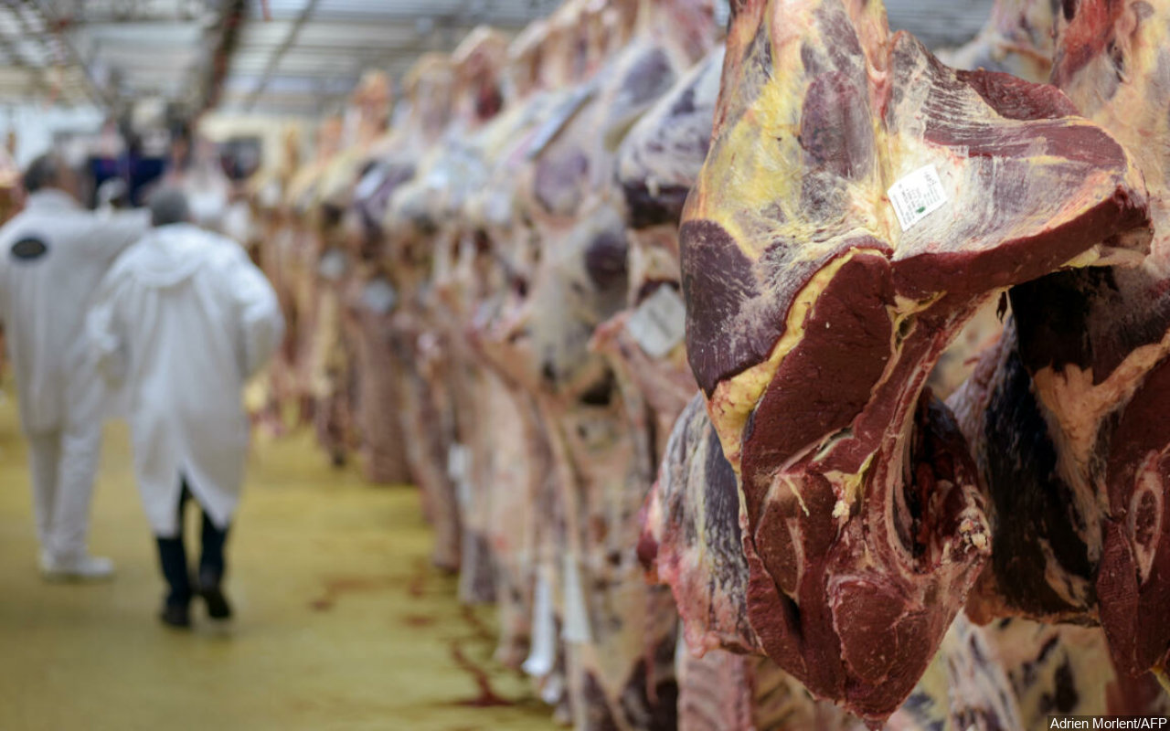 Brasil Setop Ekspor Daging ke Tiongkok Usai Deteksi Kasus Penyakit Sapi Gila