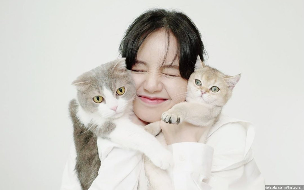 Lisa saat ini memiliki lima kucing. Mereka adalah Leo, Luca, Lily, Louis, dan Lego. Dalam sebuah wawancara di Woody Show, ia berbicara tentang sejarahnya dengan kucing.