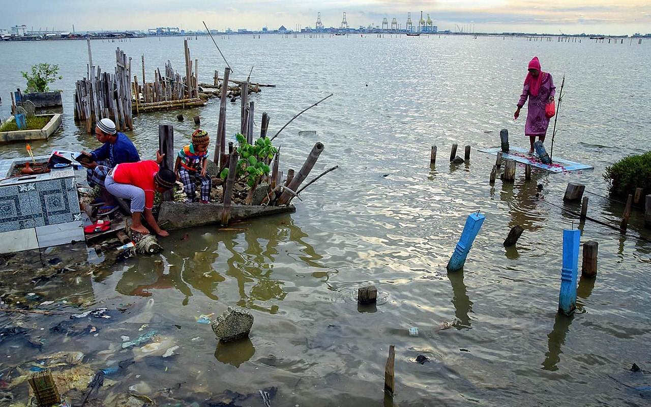 Waspada! Pesisir Utara Jawa Darurat Tenggelam, 5 Daerah Ini Paling Rawan