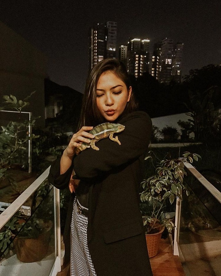 Pemberani abis