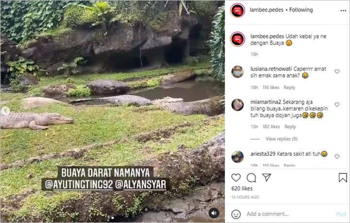 Ayu Ting ting
