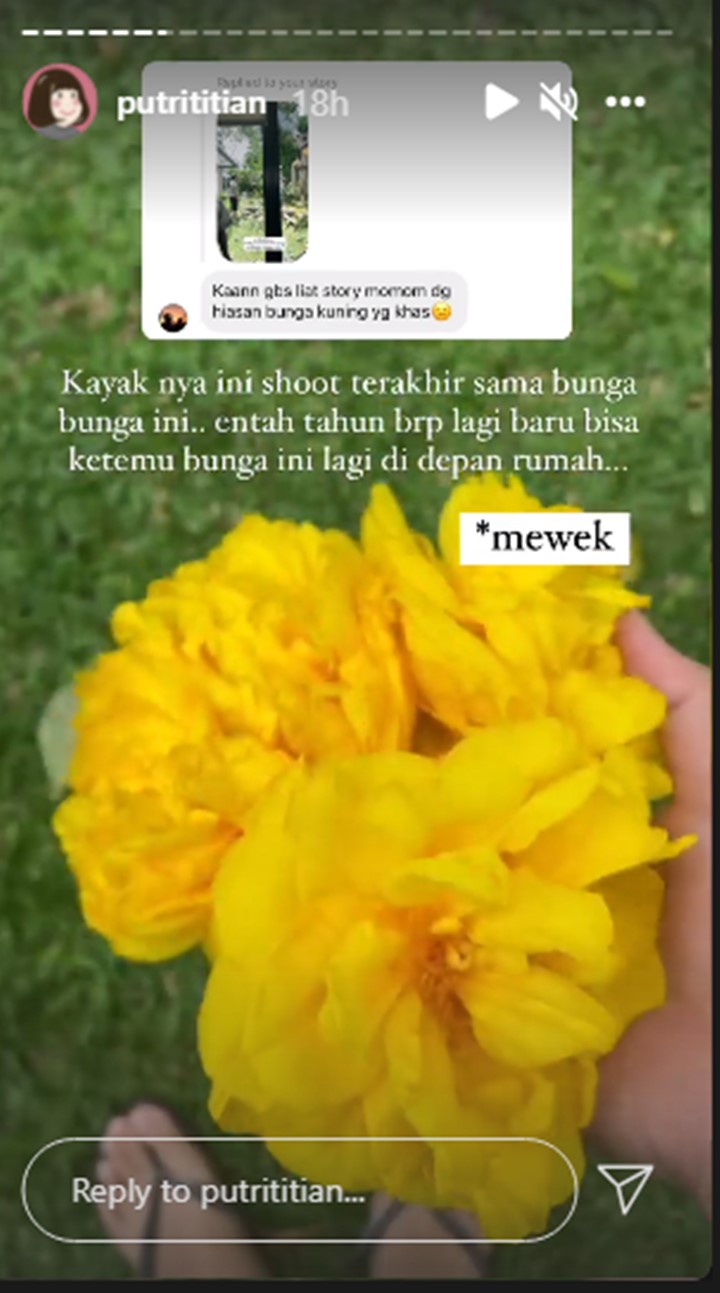Reaksi Putri Titian Saat Disebut Kena Penyakit Ain Karena Pohon Kesayangannya Tumbang