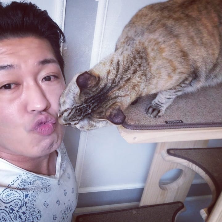  Penyayang kucing 
