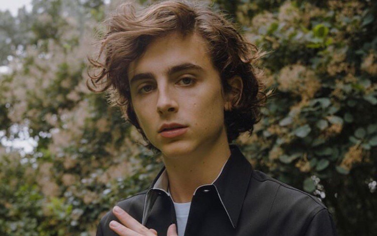 Timothee Chalamet Komentari Kasus Pemerkosaan Dan Pelecehan Seksual Aktor Armie Hammer