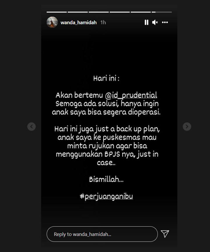 Wanda Hamidah Akhirnya Bakal Temui Pihak Asuransi, Ungkap Harapan ini
