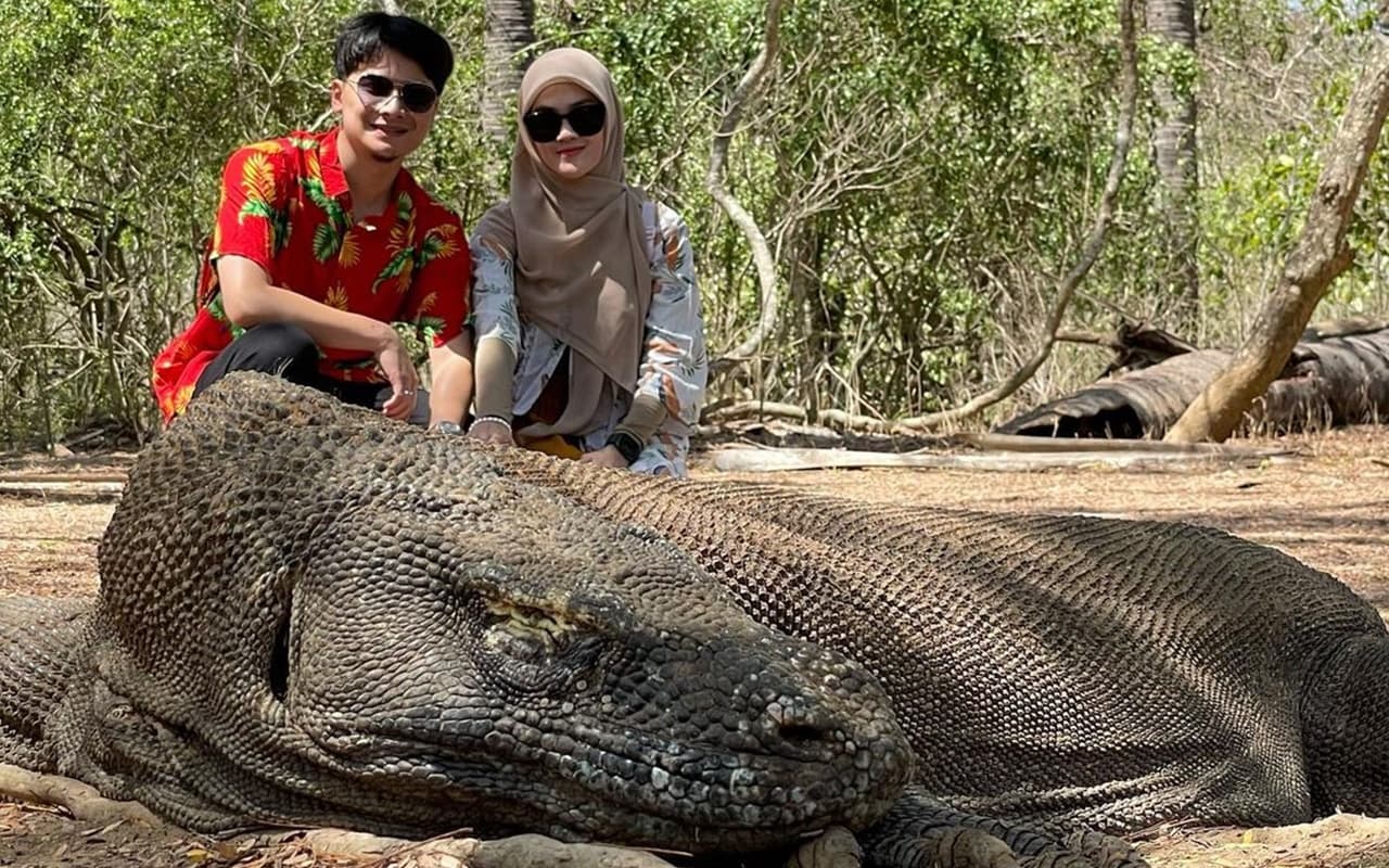 Video Alvin Faiz dan Henny Rahman Bareng Komodo 'Raksasa' Bikin Deg-Degan, Aksi Uwu Romantis Terkuak