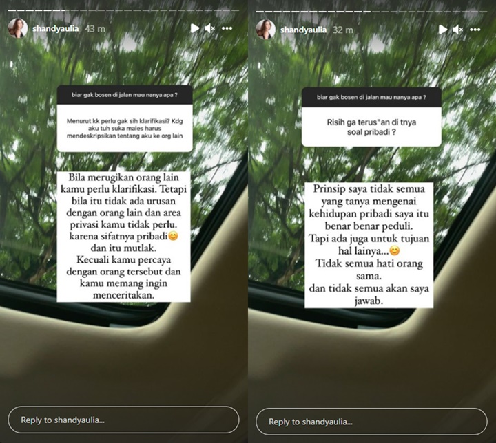 Alasan Menarik Shandy Aulia Tak Pernah Klarifikasi Rumor Perceraiannya Selama Ini