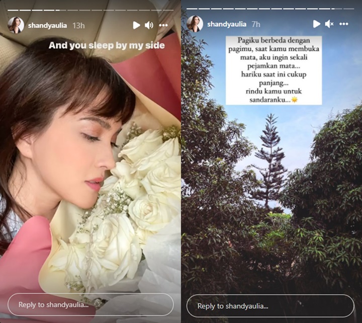 Lelah Syuting, Shandy Aulia Perdana Tulis Pesan Rindu Untuk Suami Bikin Nyesek