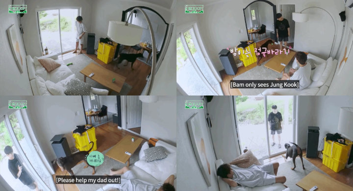 Uwu Banget, V BTS Ingin Main dengan Anjing Jungkook tapi Dicuekin