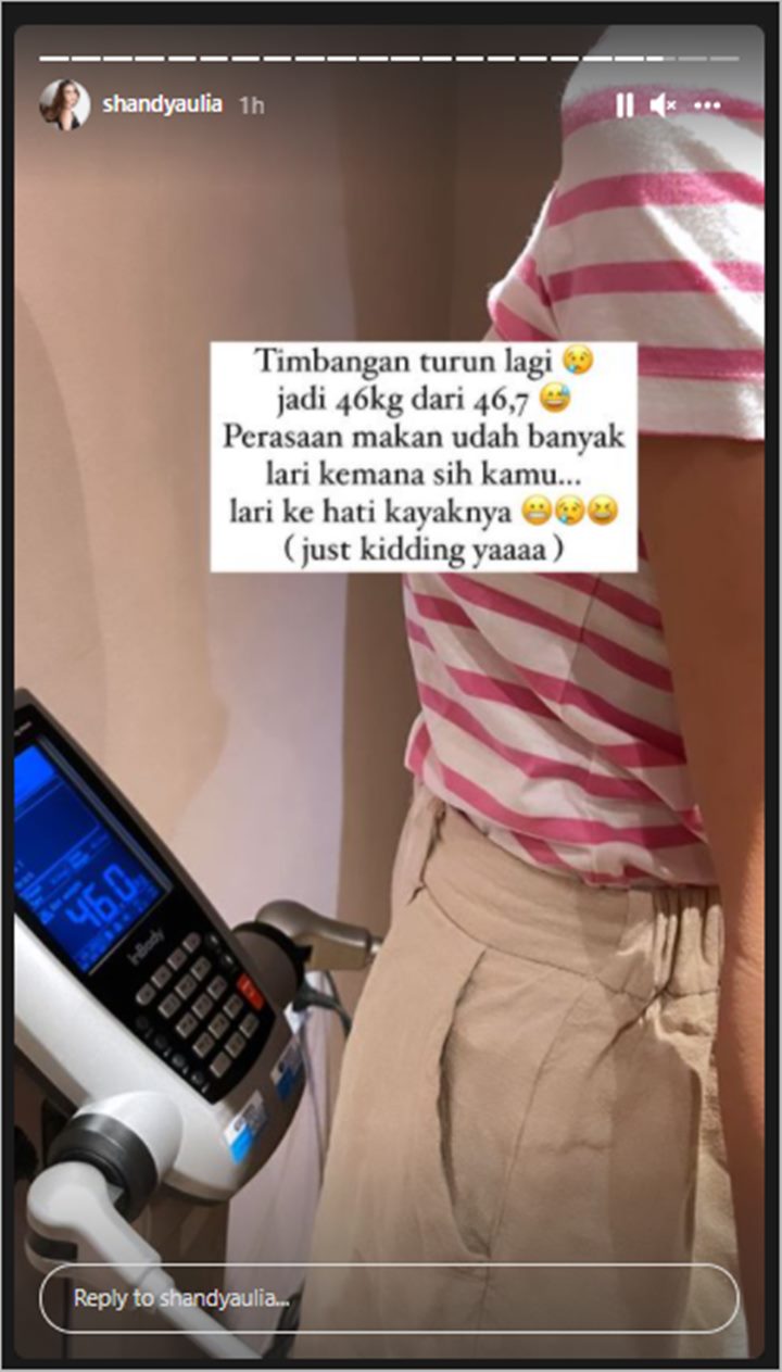Shandy Aulia