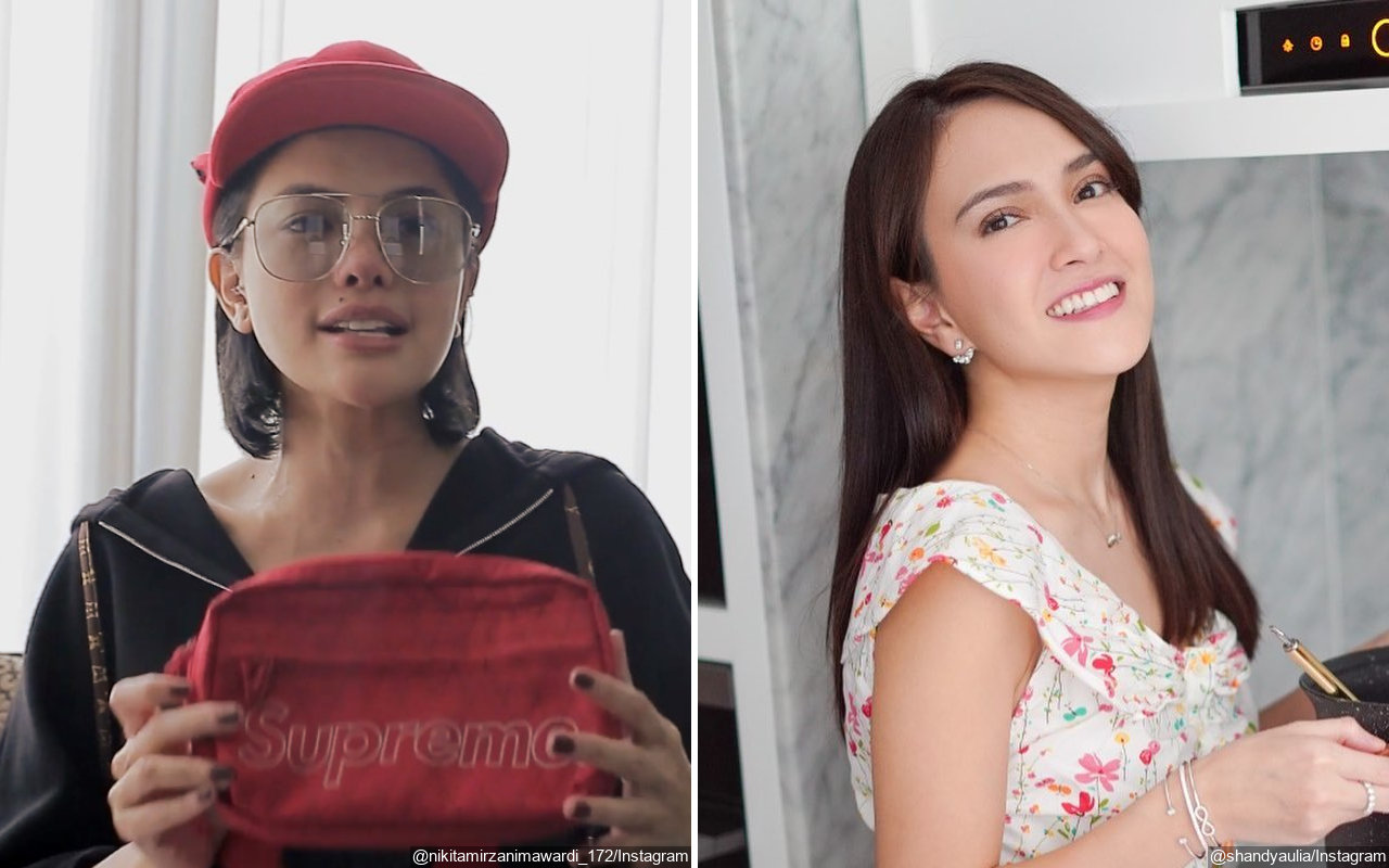 Nikita Mirzani Dipuji Manglingi di Foto Terbaru, Komentar Shandy Aulia Bikin Salfok