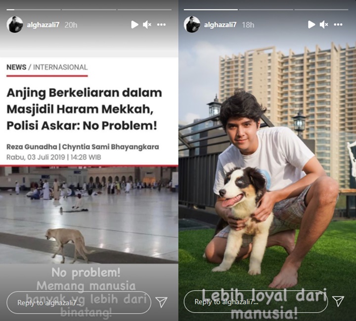 Al Ghazali Komentari Potret Anjing Bebas Berkeliaran di Masjidil Haram: No Problem!